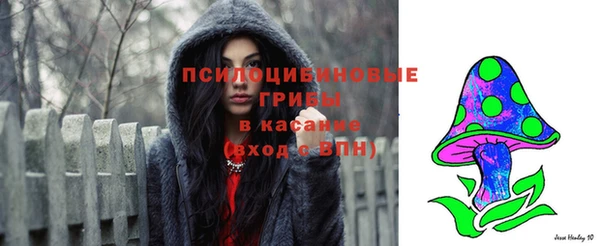 прущие грибы Надым