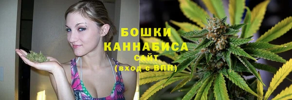 мдпв Навашино