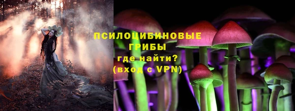 мдпв Навашино