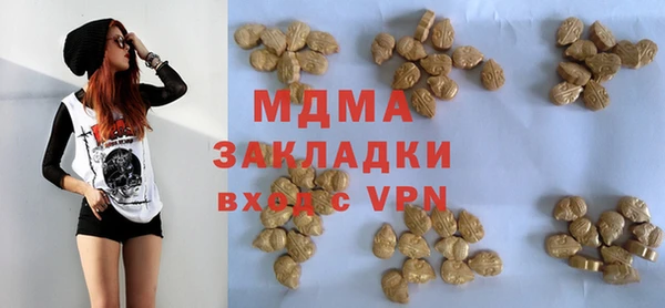 прущие грибы Надым