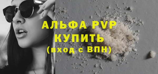прущие грибы Надым
