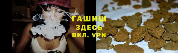 прущие грибы Надым