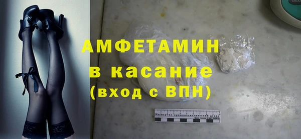 прущие грибы Надым