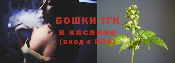 прущие грибы Надым