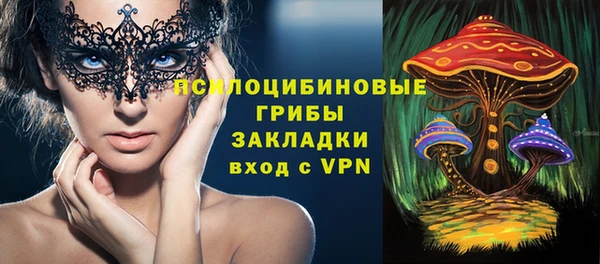 мдпв Навашино