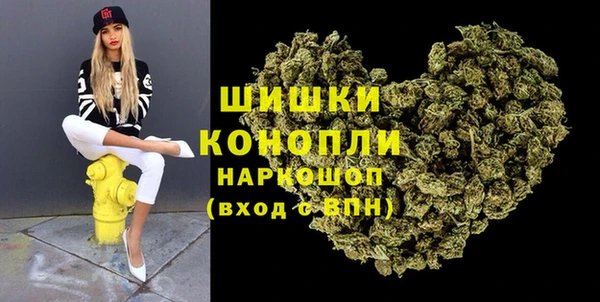прущие грибы Надым