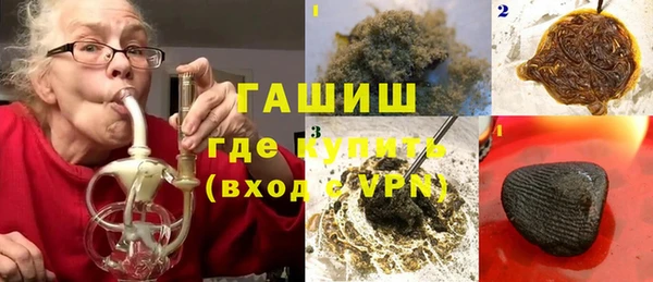 прущие грибы Надым
