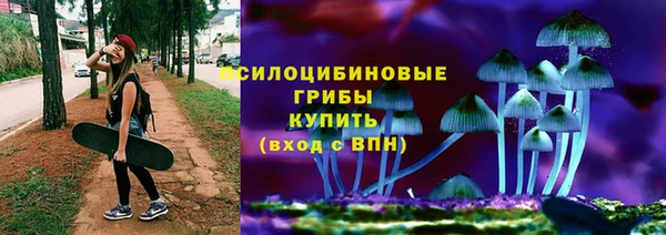 прущие грибы Надым