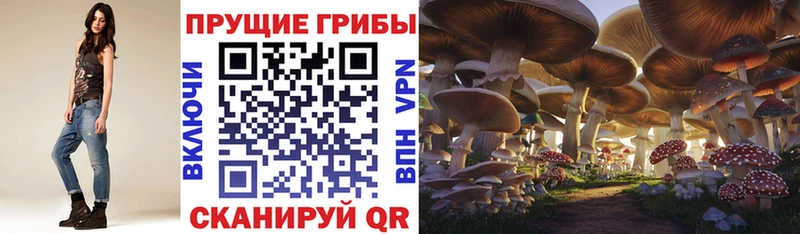 Псилоцибиновые грибы мухоморы магазин наркотиков Щёкино