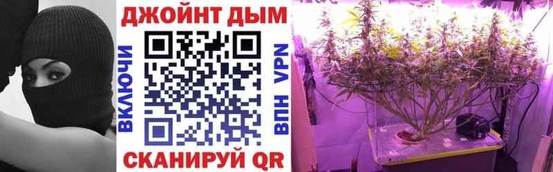 мега ТОР  Щёкино  Марихуана Amnesia  где можно купить  